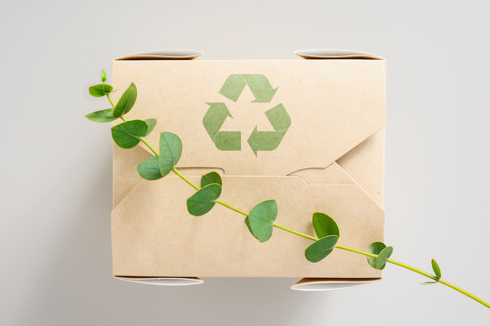 Lebensmittelbehälter aus Papier mit einem Recycling-Schild und einem Zweig einer grünen Pflanze. Eukalyptuszweig auf einem umweltfreundlichen Karton. Zero-Waste-Konzept